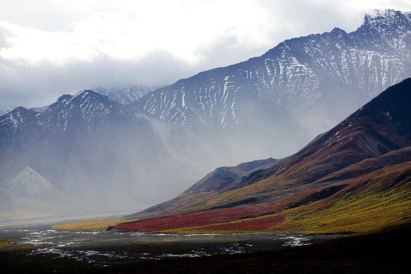 Tundra Biome